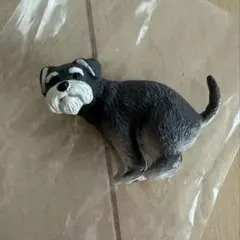 ふんばりーぬ3 ミニチュアシュナウザー