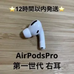 ⭐️Apple AirPods Pro⭐️右耳⭐️純正品⭐️MWP/22J/A ち