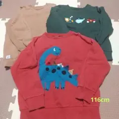 116cm NEXT トレーナー 3着