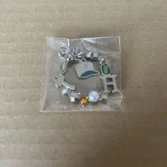 2025年最新】usj コナン コレクタブルチャームの人気アイテム - メルカリ