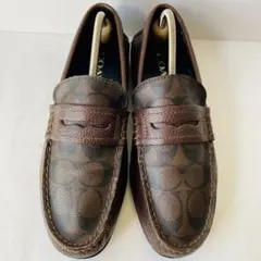 Item thumbnail for item 08007620-440a-4c02-88ca-d6acb9bc7586