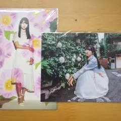 2026年最新】週刊少年マガジン賀喜遥香 応募券の人気アイテム - メルカリ