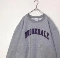 Champion チャンピオン スウェット トレーナー XL グレー アメカジ