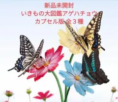 2026年最新】いきもの大図鑑の人気アイテム - メルカリ