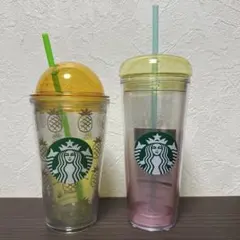スターバックス スタバ 韓国限定 サマー コールドカップタンブラー 2개 세트