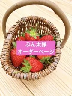 ぶん太様オーダーページ