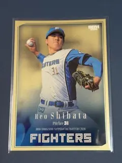 BBM　2015 ダルビッシュ有　ジャージカード 中田翔 限定90枚 ジャージカード BBM2015 シリアル - メルカリ