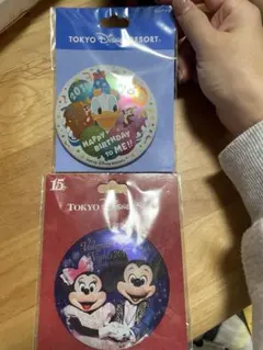ドナルド バースデー 限定版 ピンバッジセット Disney 2026年最新】ドナルド ピンバッジ セット donald duck birthdayの人気