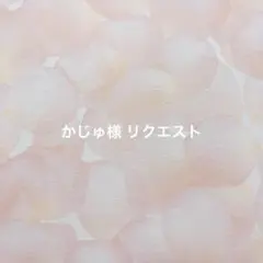 かじゅ様 リクエスト 4点 まとめ商品