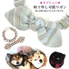 オプション取り外し可能リボン紹介★縫い付け迷子 シュシュ猫首輪 名前74 han1.jpg 首輪・ハーネス・リード