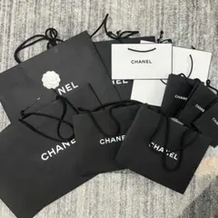 CHANEL ショップ袋 11枚セット