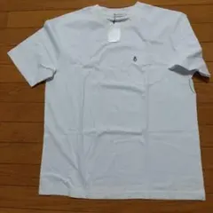 Item thumbnail for item 05a2f670-e1e3-4f05-af51-d5ff025db702