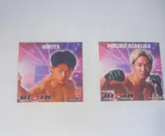 2026年最新】rizinステッカーの人気アイテム - メルカリ