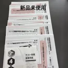 2025年❗️日能研 4年 全国公開模試【後期】 日能研 全国公開模試 2025年度4年生 2回分セット(9、10月) - メルカリ