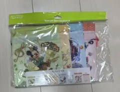 東京ディズニーランド　巾着　ニュードリームスモアファン