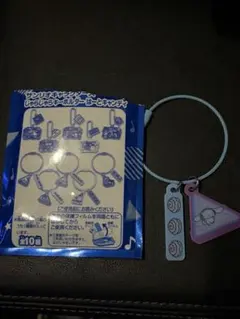 サンリオキャラクターズ じゃらじゃらキーホルダー 　ワイヤータイプ　シナモロール