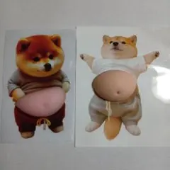 △　お腹　ぽっこり　シリコン　ぷにぷに　ステッカー　柴犬　シール　おなか　2枚