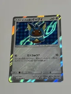 ポンチョを着たイーブイ P ポケモンセンター 「ポンチョを着たイーブイ