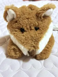 ニトリ クタクタぬいぐるみ きつね みやかわくんのサムネイル