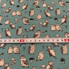 Trèfle フクロウ柄 プリント生地 グリーン系 50cm