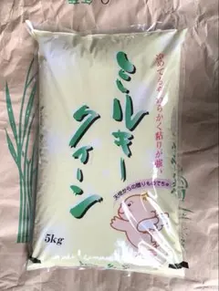 新米 令和8年産 山形県尾花沢産 つや姫5㎏ - メルカリ