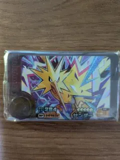 サンダー　ポケモンフレンダ　フレンダピック