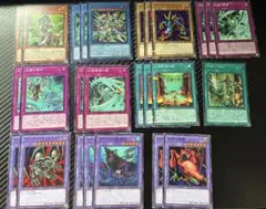 No.81 遊戯王 セネトデッキパーツ15種40枚 - メルカリ