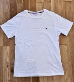 Item thumbnail for item 8c49a5ea-f2f8-4787-8c48-3c9c82e59ce2