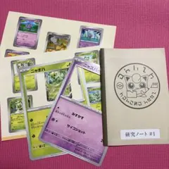 ポケパークカントー