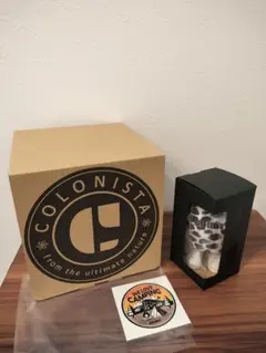 COLONISTA×GOOUT CONPE10＆COLOくんSETのサムネイル