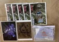 Item thumbnail for item 74b0e8a9-ec42-4599-9d6f-56cce3969b2a