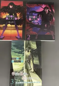 黄昏乙女×アムネジア 公式ガイドブック 8.5 初版 - メルカリ
