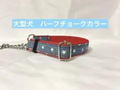 Item thumbnail for item a4c11aa5-a863-4272-bf44-8a8d9fed3c8c