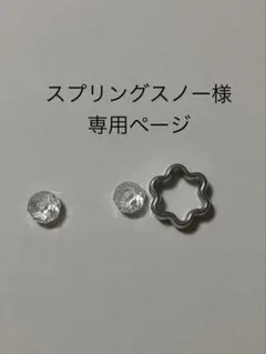 スプリングスノー様専用ページ