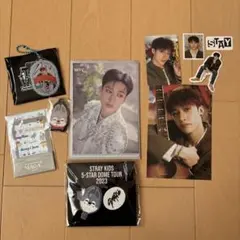 stray kids バンチャン skzoo ウルフチャン　まとめ売り