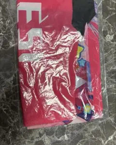 TGS2026 MIRESI 視えない未来 C賞　はっぴ