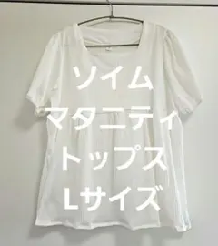 Item thumbnail for item 72732b04-3be6-443c-b2b9-a37b6333b308