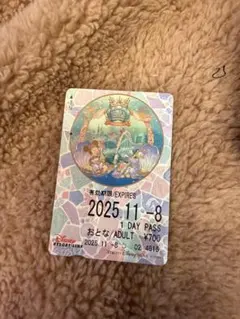 【使用済】2012年度 ディズニーリゾートライン 切符 パス リゾラ 2026年最新】リゾートライン 使用済みの人気アイテム - メルカリ