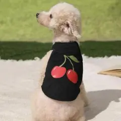 犬服 さくらんぼ チェリー