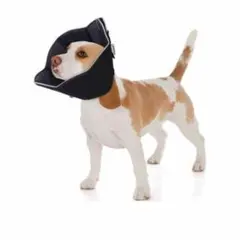 Item thumbnail for item 03bbd722-e0d6-4150-bc88-28e64eda0223