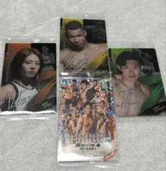 RIZINウエハース　シークレットカード