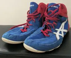 Item thumbnail for item 4cc99dd4-b655-4c79-81f8-7bfd5fab453b