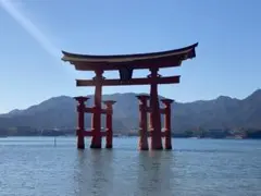 Chii様専用