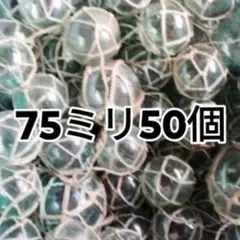 ガラス浮き 75mm 50個セット 漁具