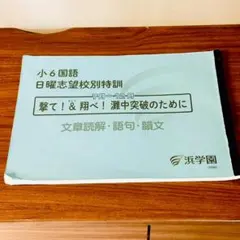 2026年最新】浜学園 撃ての人気アイテム - メルカリ