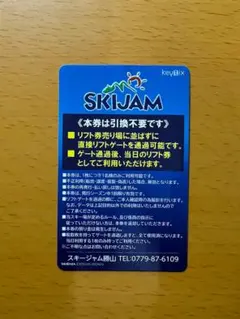 スキージャム勝山2025‐2026シーズン【全日】大人１日リフト券（３枚あり）