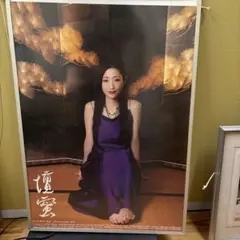 2025年最新】壇蜜 ポスターの人気アイテム - メルカリ