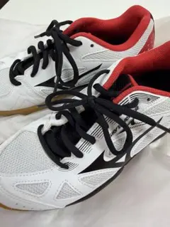 mizuno ミズノ　バドミントンシューズ　SKY BLASTER3 23.5のサムネイル