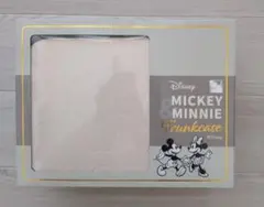 Item thumbnail for item 79569ba9-16fa-4cd4-a450-7cdae93e3489