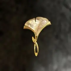 エレガントな装飾的デザインのブローチ